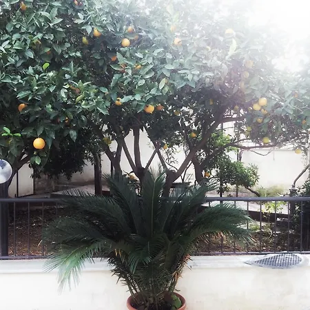 Holiday home Neroli *